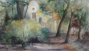 Ganadores del 34º Concurso de Manchas