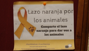 Por el buen trato a los animales