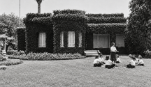 ¿Sabían que…