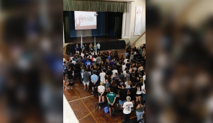 Docencia, mi profesión