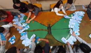 Mural mariposa argentina