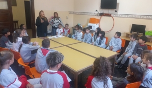 Participación democrática