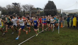 Atletismo todo terreno