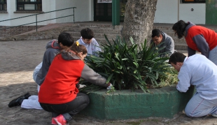 Clínica de plantas de Escuela Especial